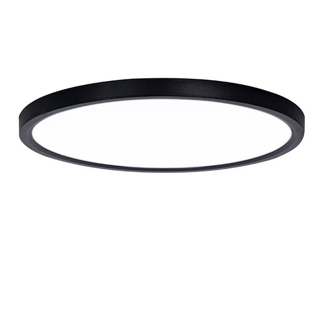 Slimme plafondlampen 0,94 inch afstandsbediening APP-bediening Ultradun