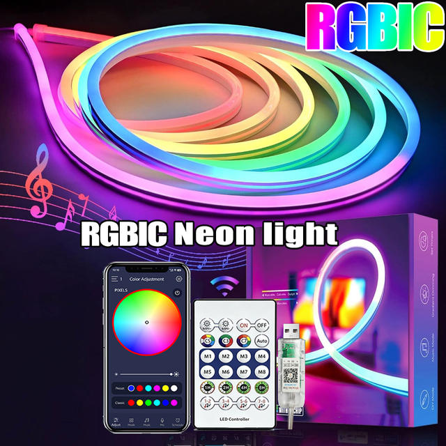 5V RGB+IC Neon Stripverlichting 1M 2M 3M 5M 10M USB Waterdichte